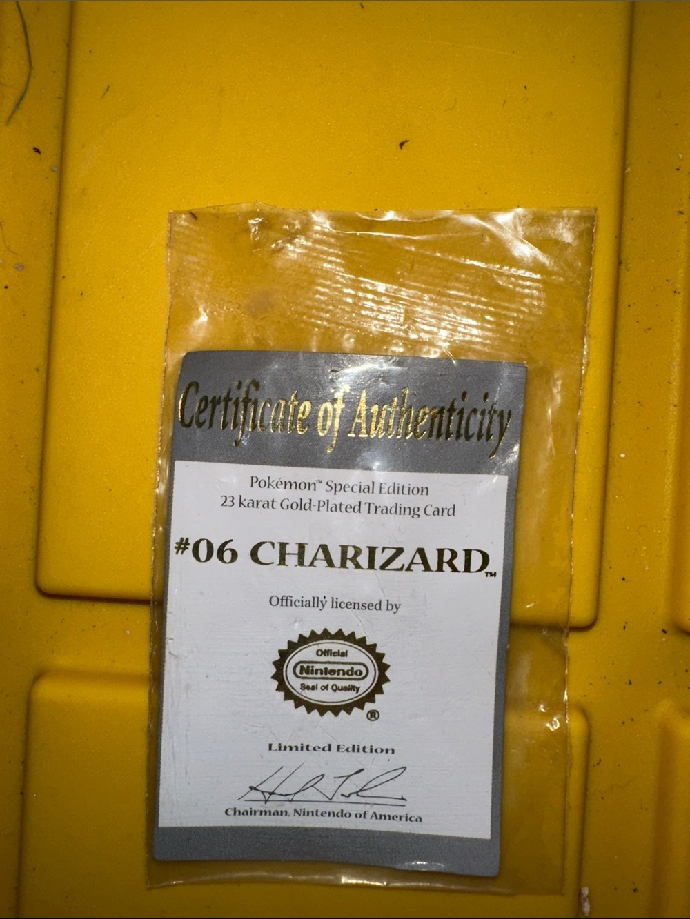 Certificate of Authenticity card only for Pokemon Charizard #06